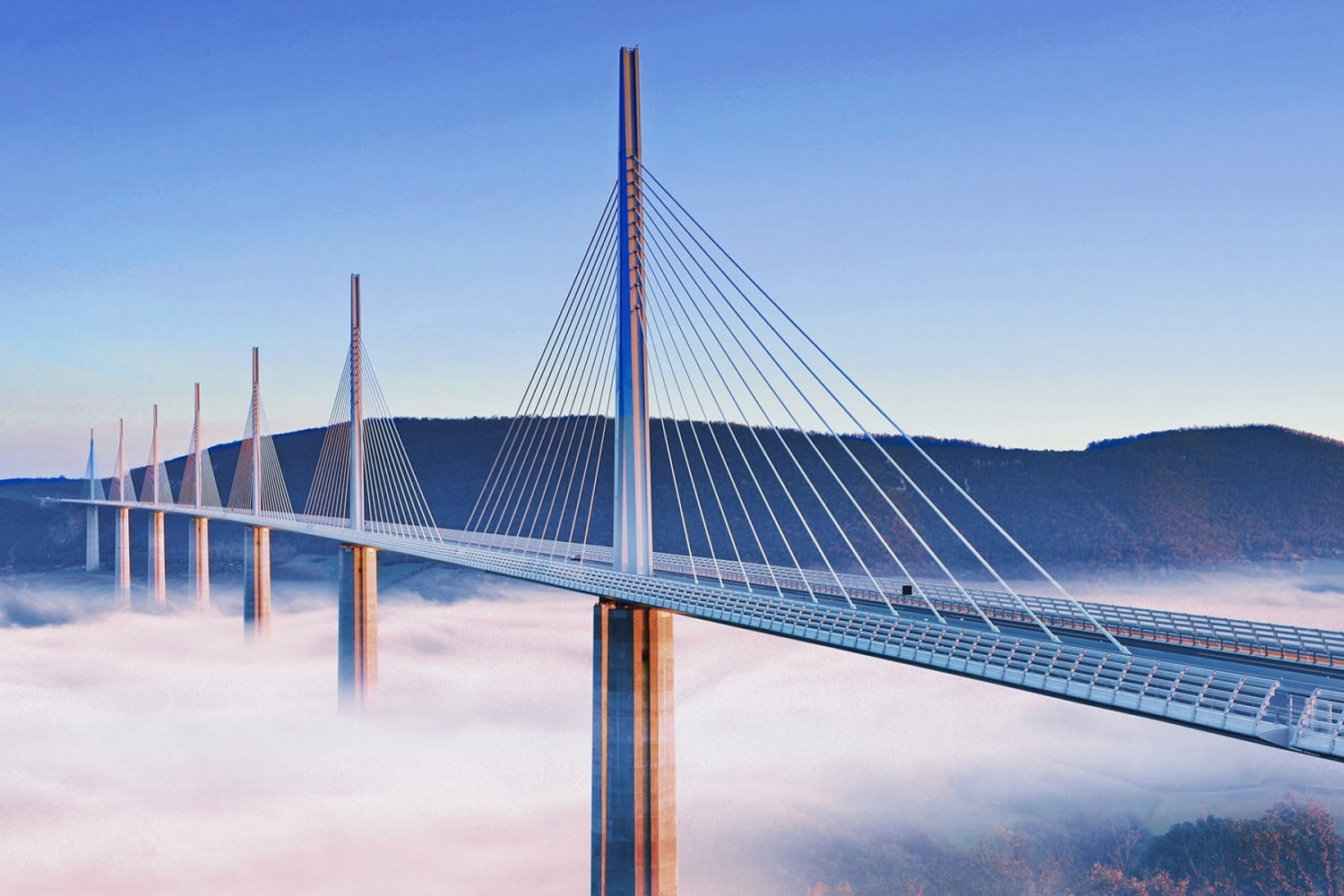 Bridge2 Point Bridge Capital